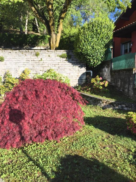 Villa Assunta Premeno Eksteriør bilde